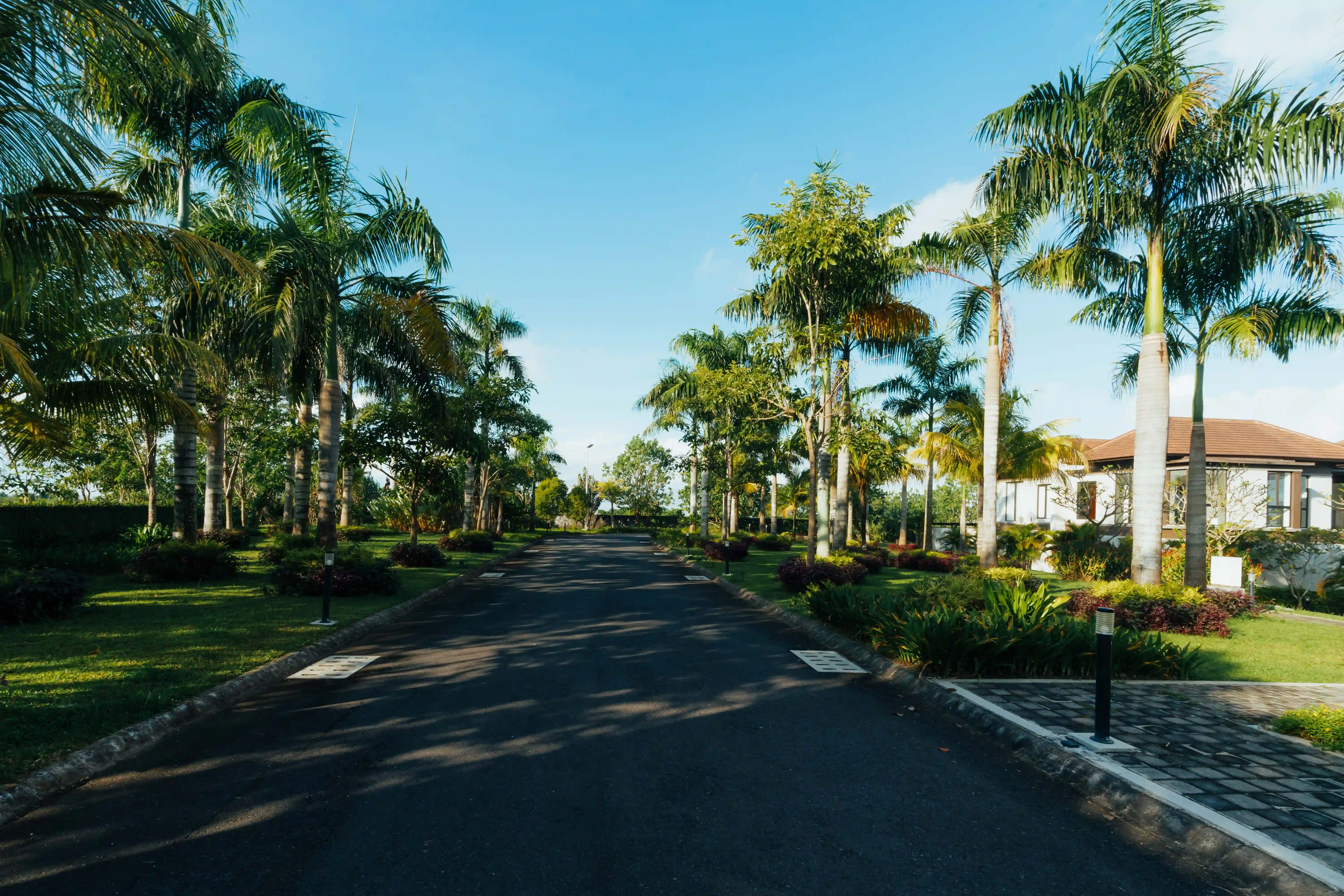Underground Electricity: Building a Cleaner and More Reliable Community
