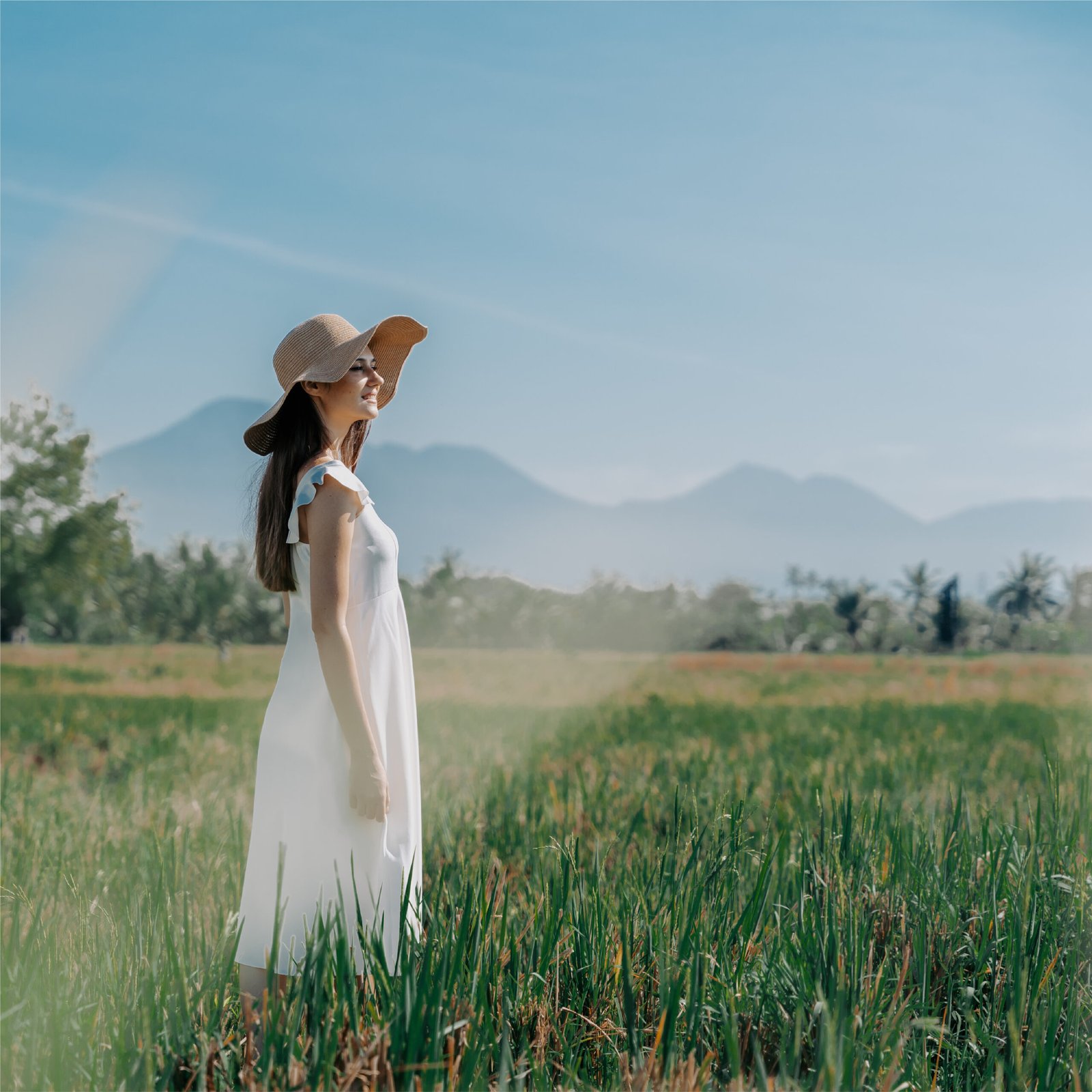 Breath-taking views of sunset, rice fields, & mountains.